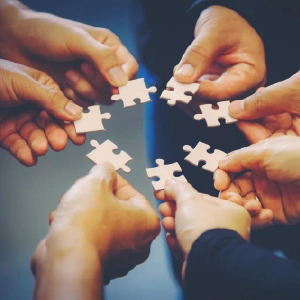 Cross Functional Collaboration