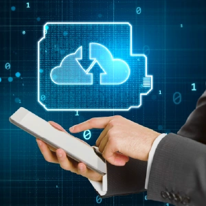 Flexible Integration Capabilities